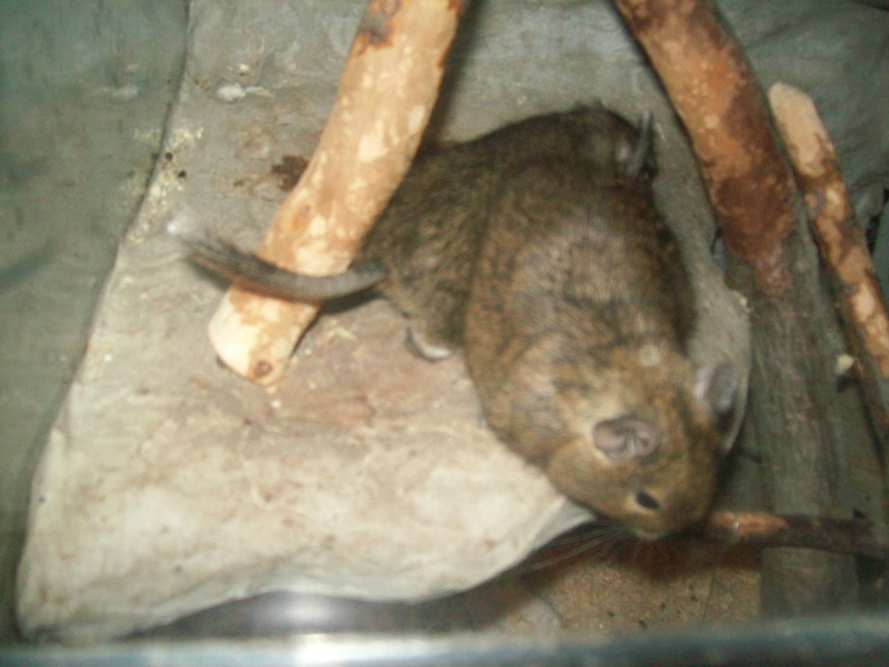 100_0670.jpg