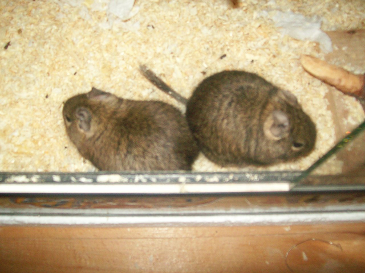 100_0708.jpg
