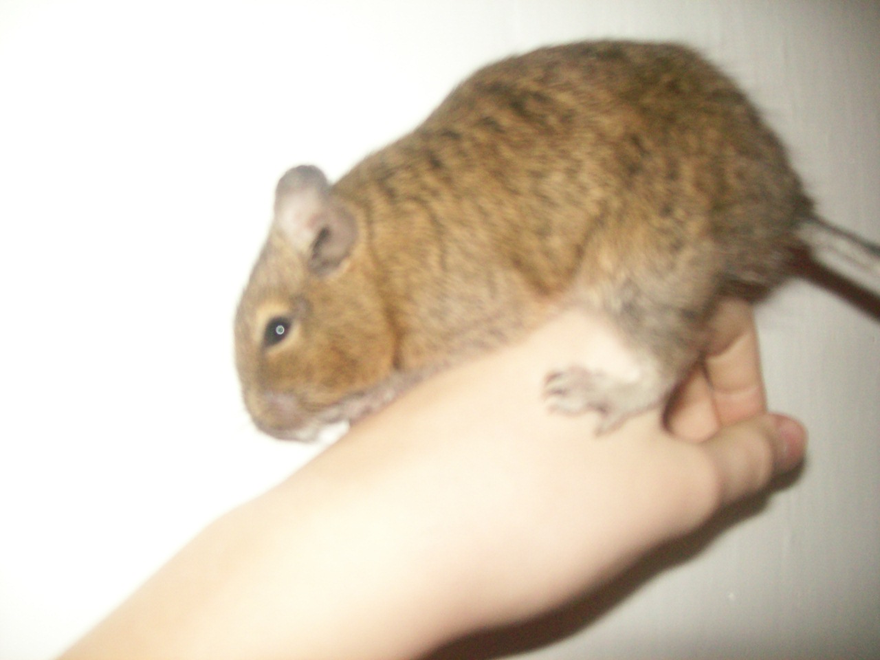 100_0699.jpg