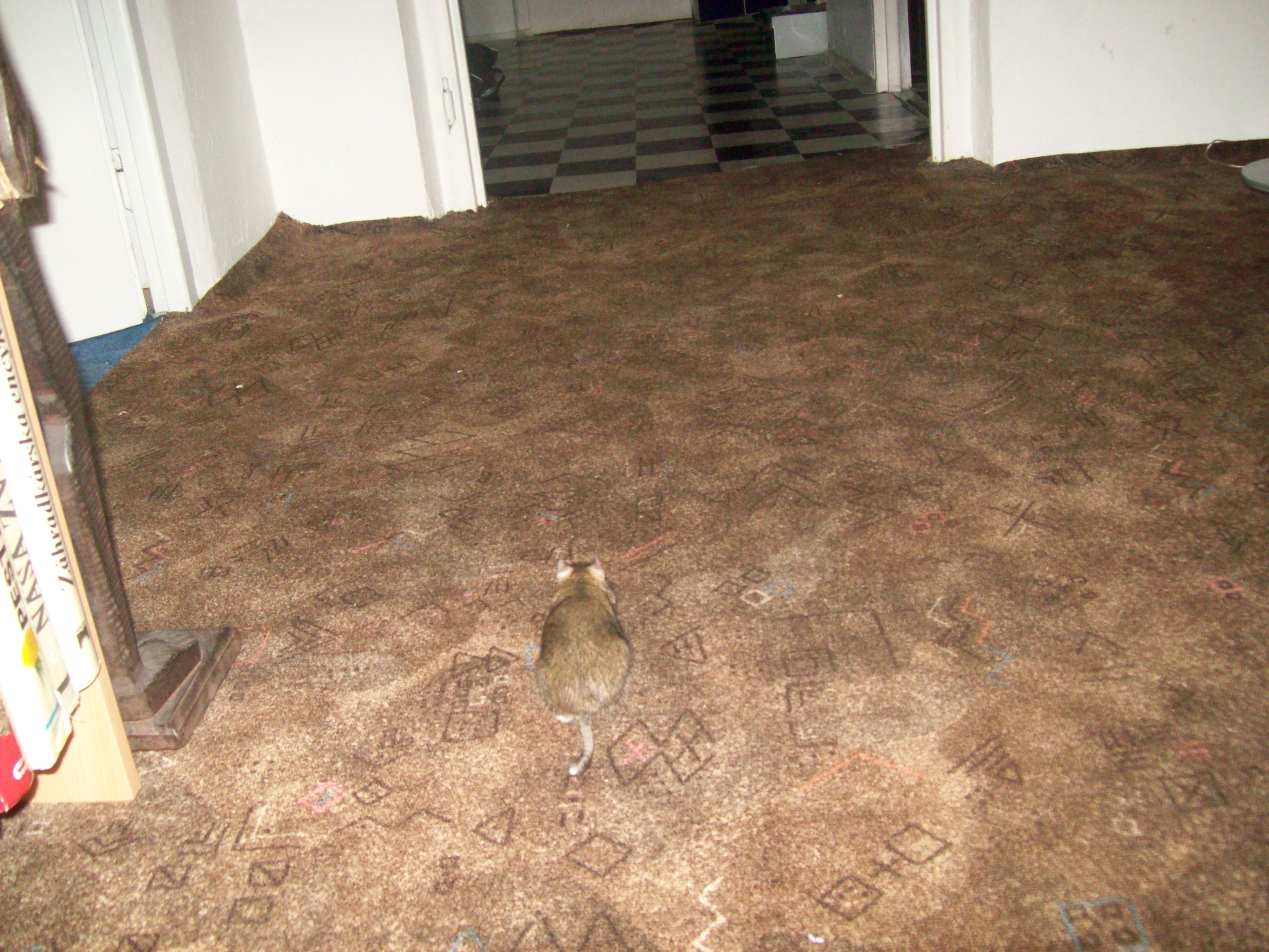 100_0673.jpg