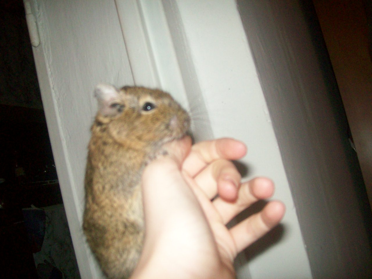 100_0697.jpg