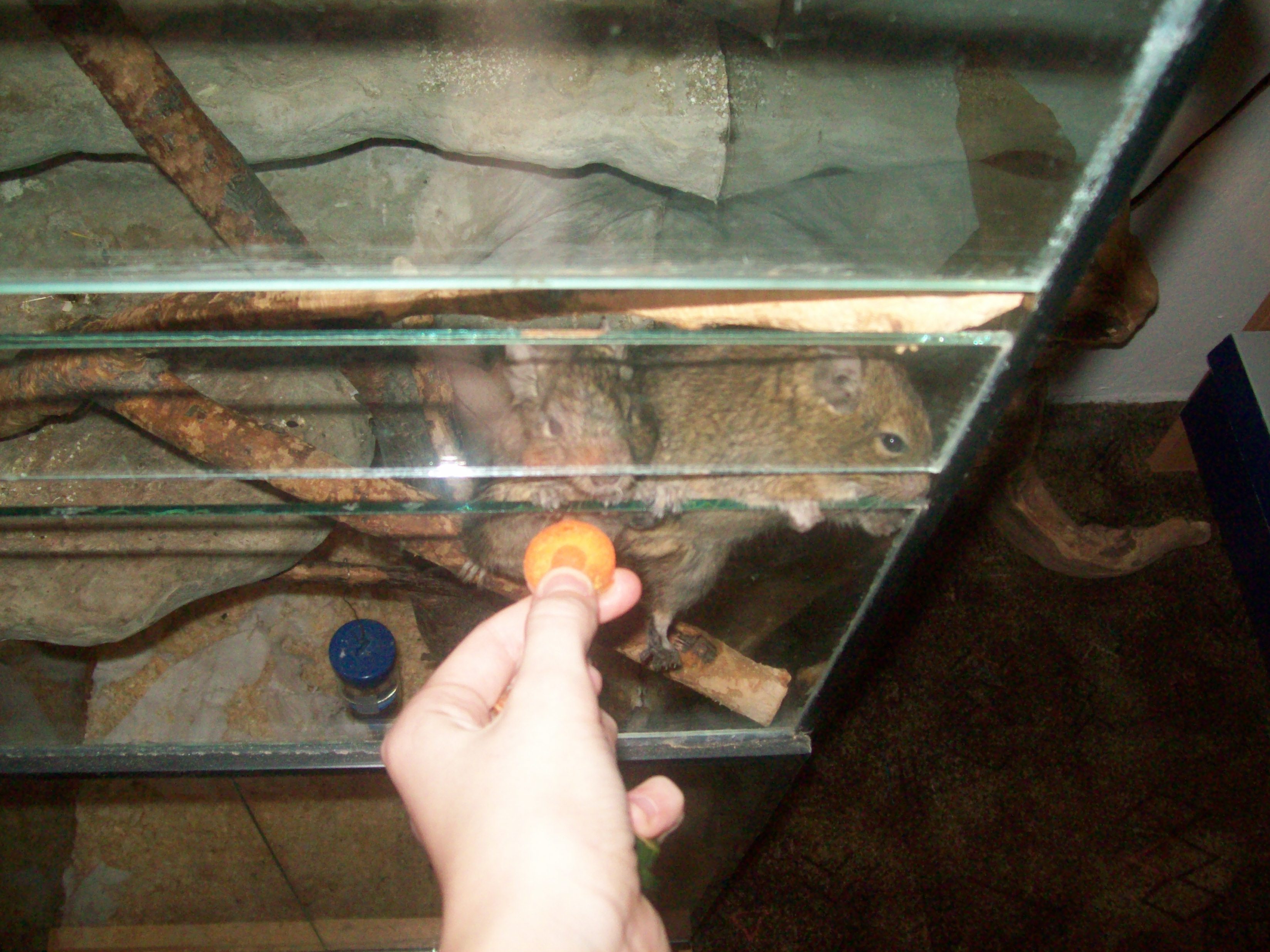 100_0655.jpg